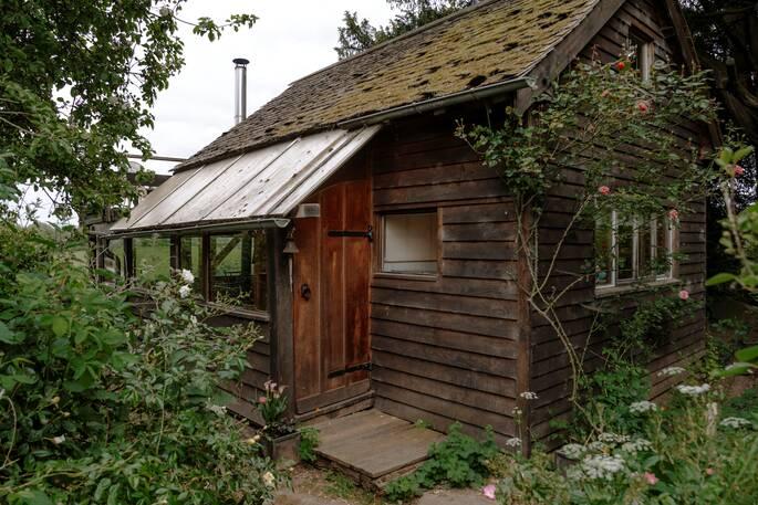 The Potting Shed exterior with roses climbing on the right wall of the cabin 
