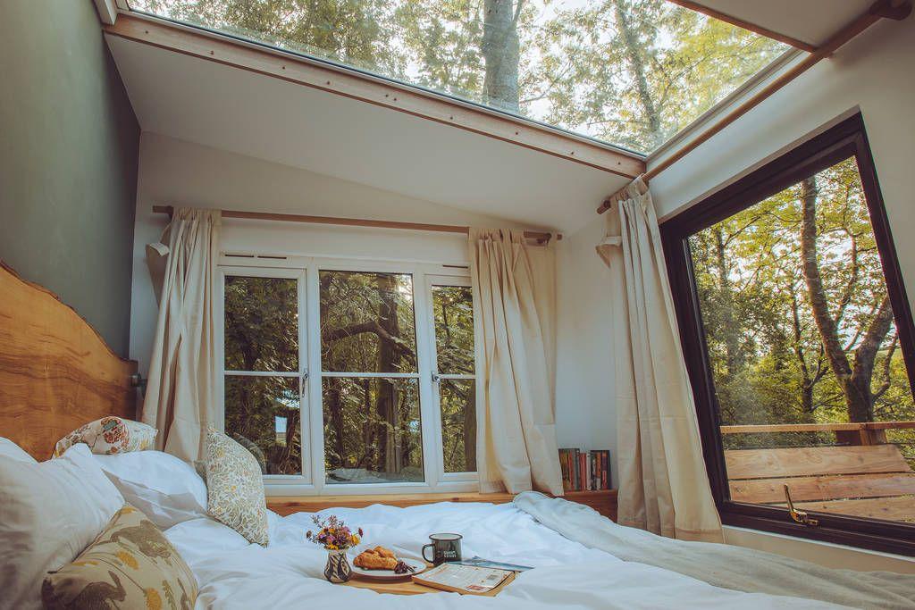 Tiger's Treehouse bedroom with 2 large windows and sky light window 