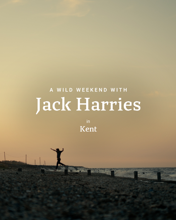 Jack Harries jumping over beach groynes at sunset. The text reads "A Wild Weekend with Jack Harries in Kent"