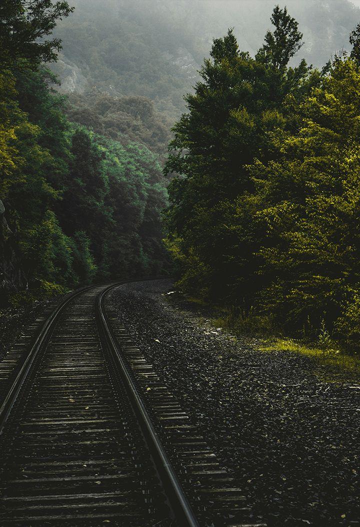 Train track through a forest