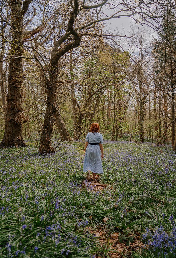 Person walking in the bluebell woodland 