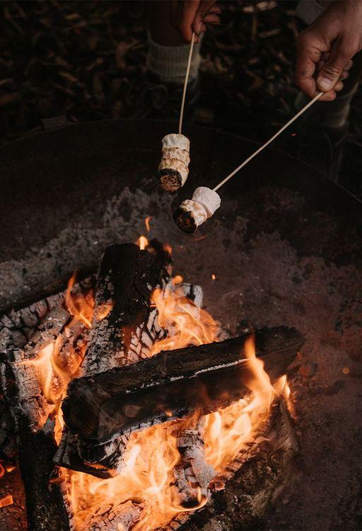 Marshmallows over a firepit