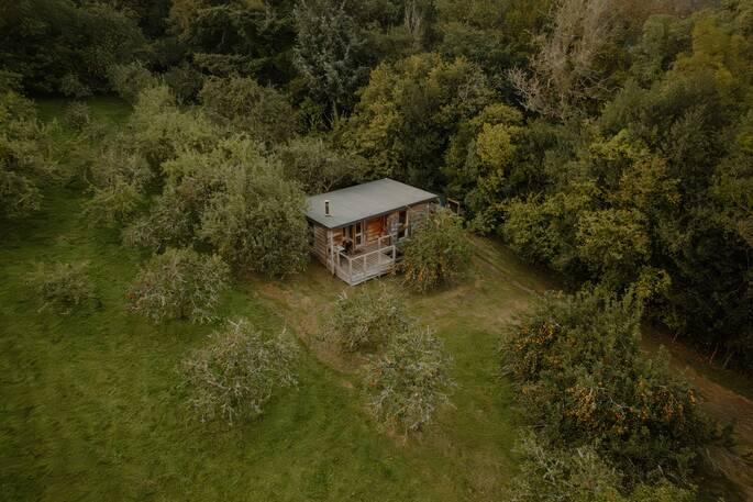 Lichen Cabin