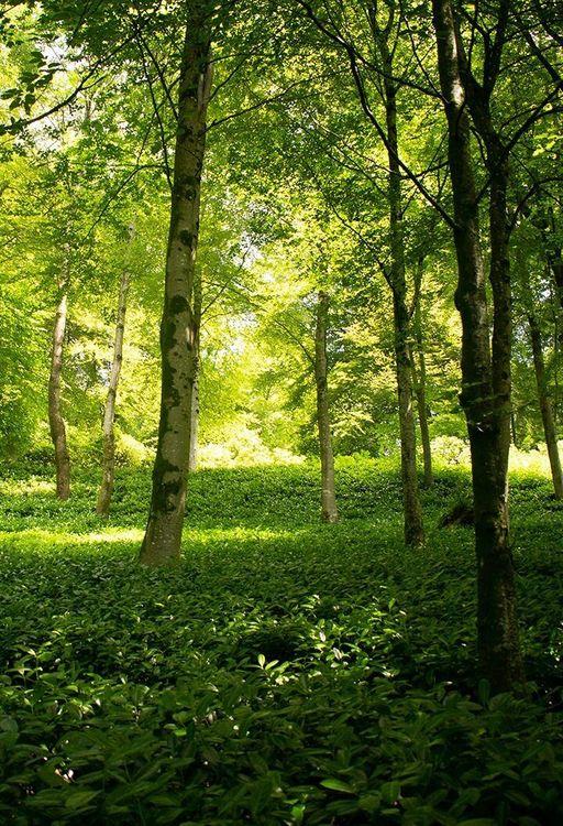 Regulations on short term lets in England, Scotland & Wales?Q&A