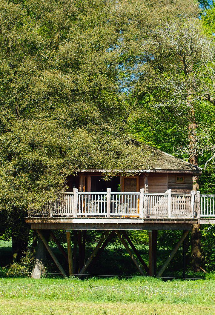 Treehouse in the woods