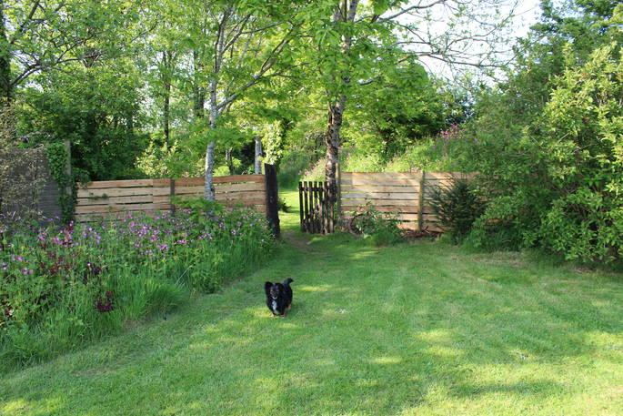Tree of Life Horsebox