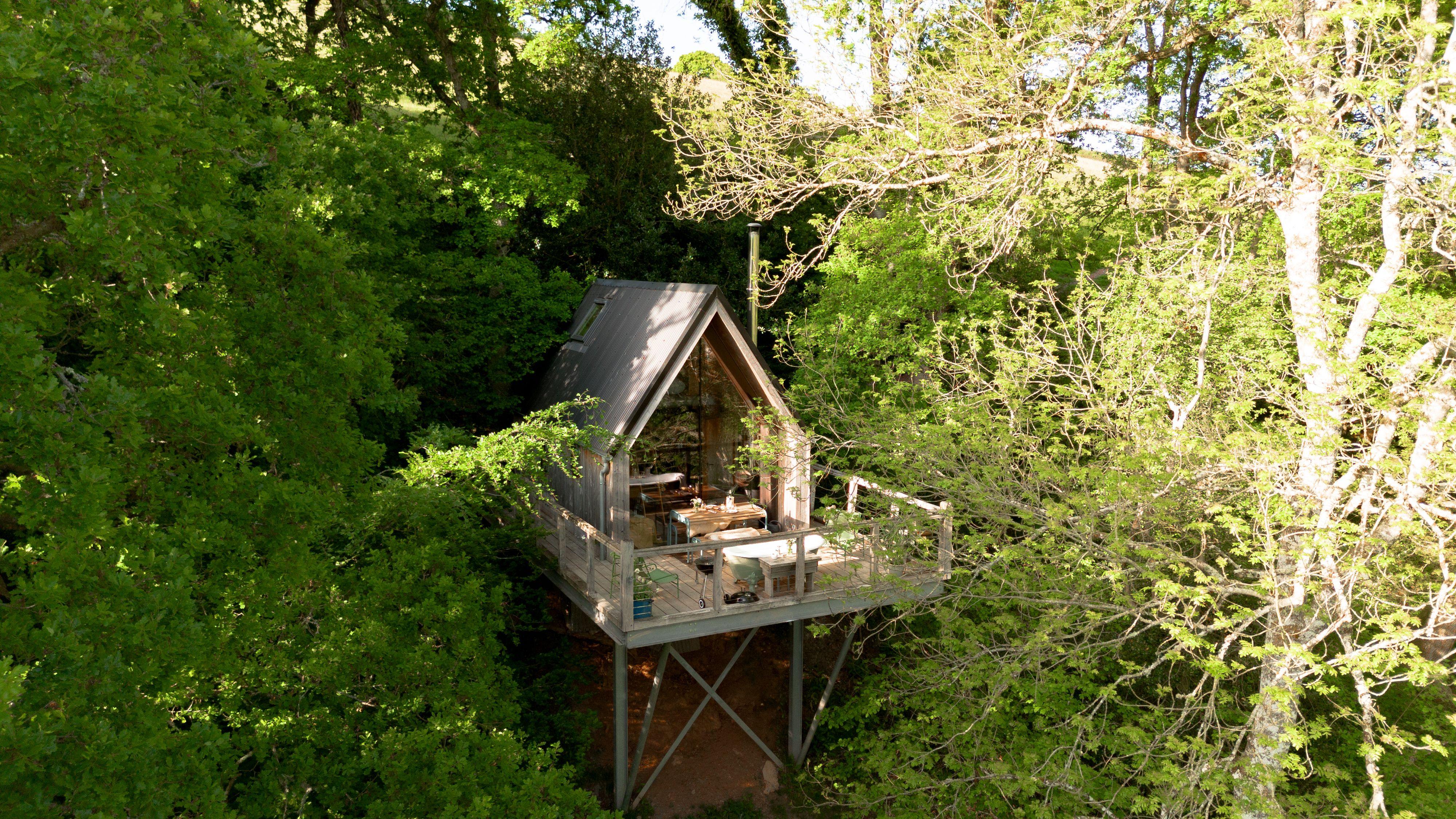 Exterior of treehouse in Devon - treehouse holidays