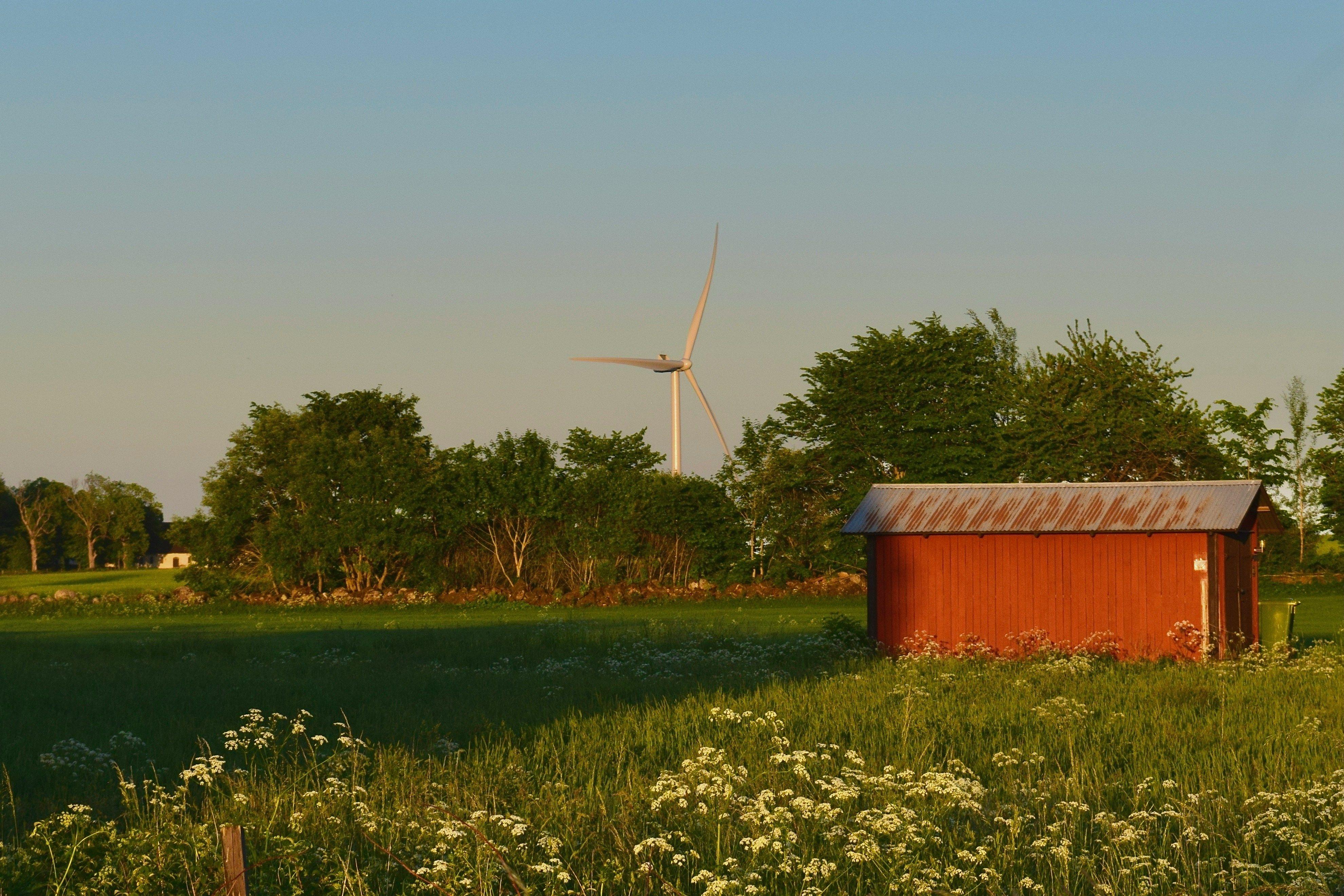 Step 4: Build a safety net - run a small backup generator  