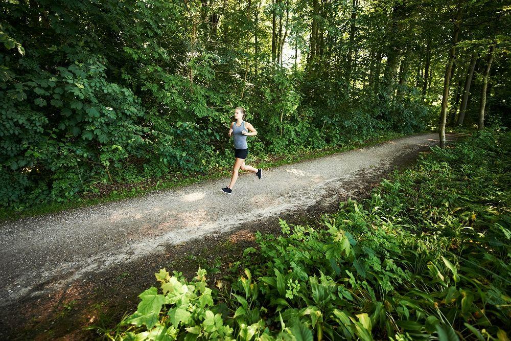 Runner hits a trail through forest 