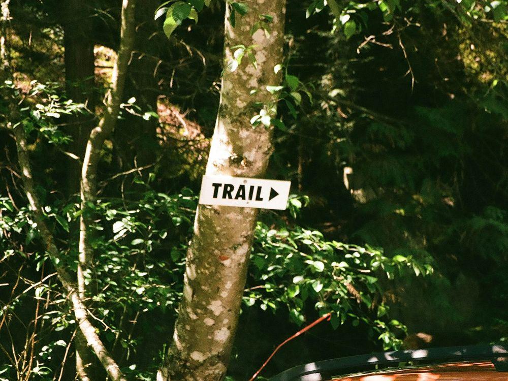Sign for trail in the woods