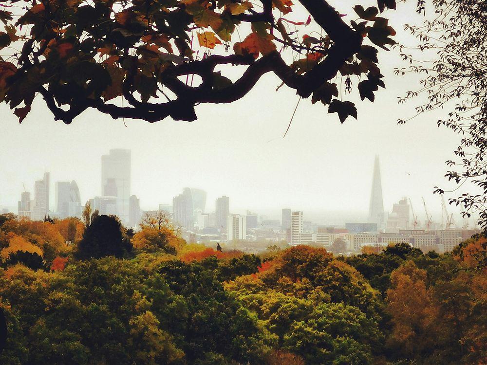 Image of London in the background of Hampstead Heath