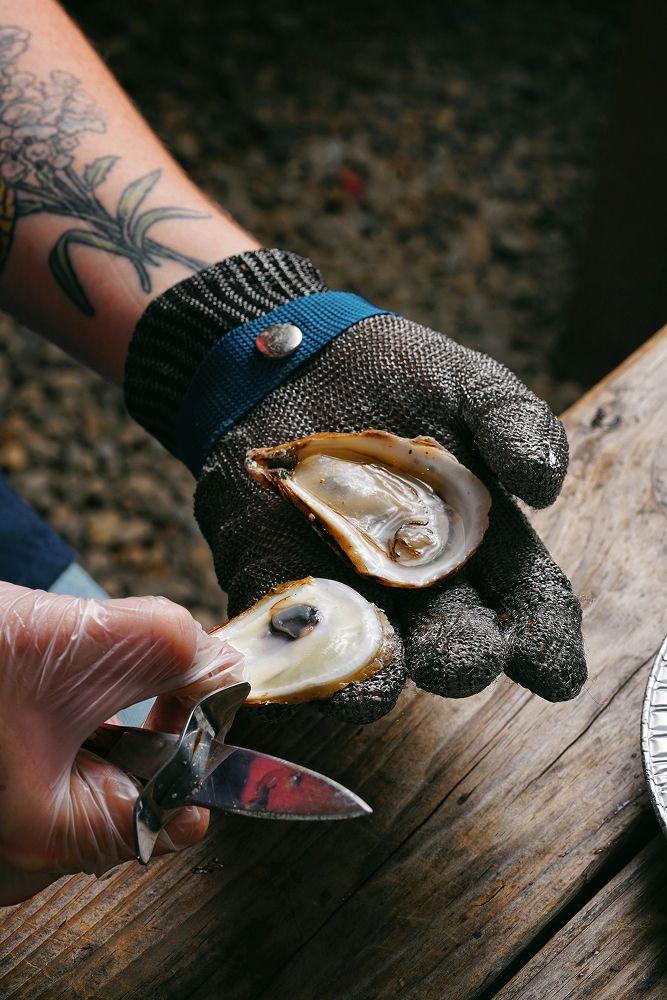 Chef shucking oyster