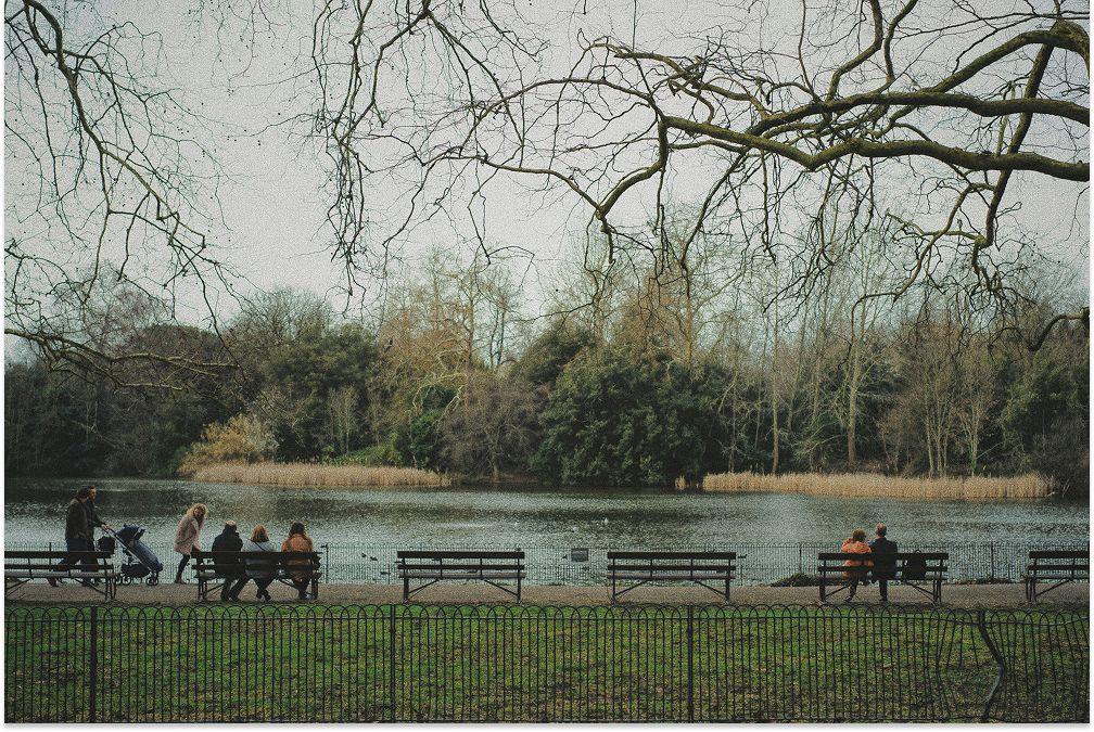 View of the river in Battersea Park 