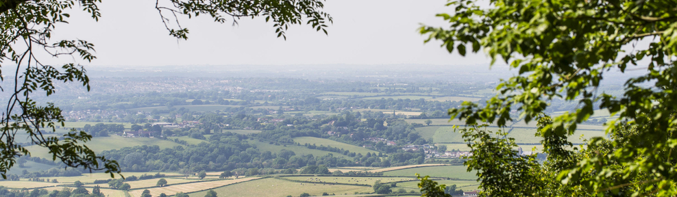 Beechwood Cottages estate 