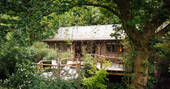 1 - Front exterior of the treehouse