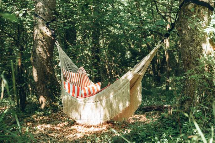 18 - Hammock in the woodland