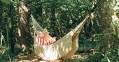 18 - Hammock in the woodland
