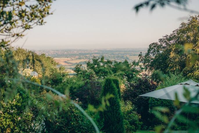 19 - View from the treehouse