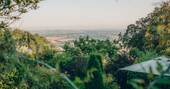 19 - View from the treehouse
