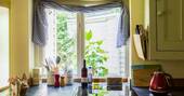 The Workshop cabin view from the kitchen, Beechwood Cottages, Bath & N.E. Somerset