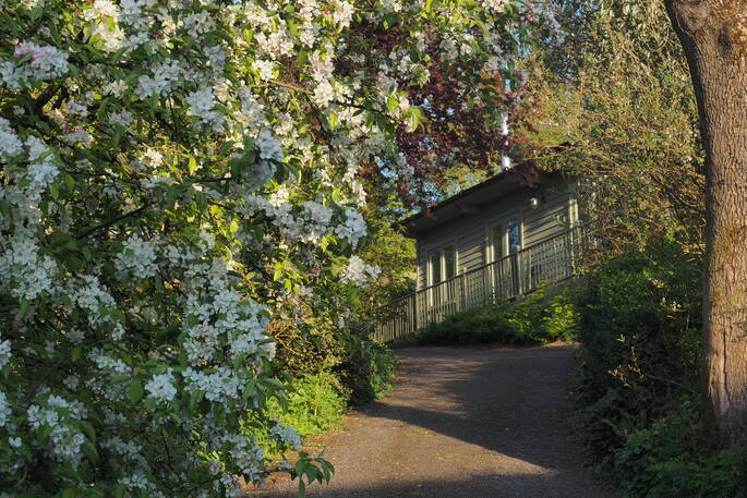 The Workshop Spring