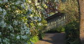 The Workshop Spring