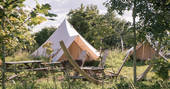 Bell tent camp Cotton Breeches at The Farm Camp near Bath with outside seating and communal campfire