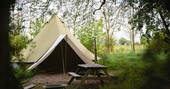 Bell tent and picnic bench