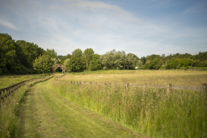 Fields