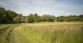 Fields