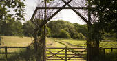 View through gate