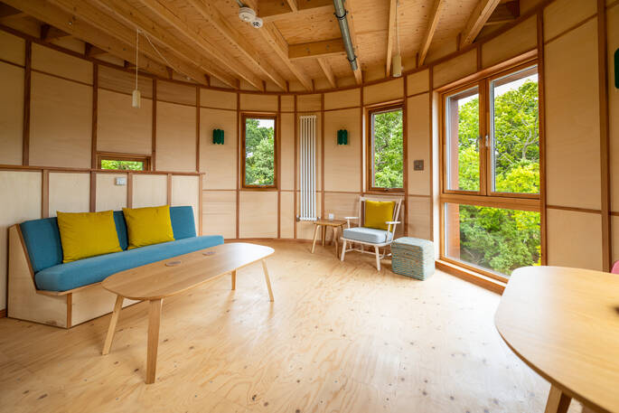 Open plan living area and kitche