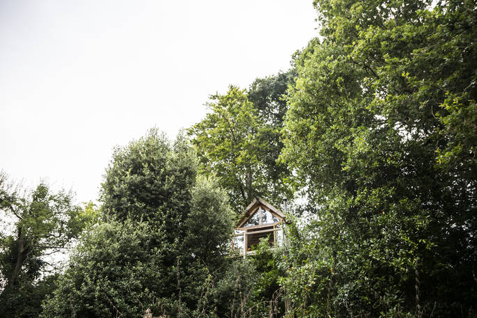 Looking up at Uplands Treehouse in the trees, Wrington, Bristol
