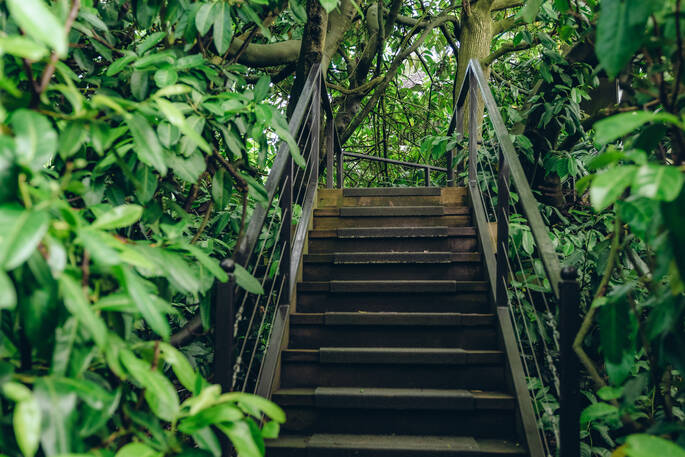 Steps up to space