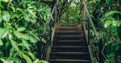 Steps up to space