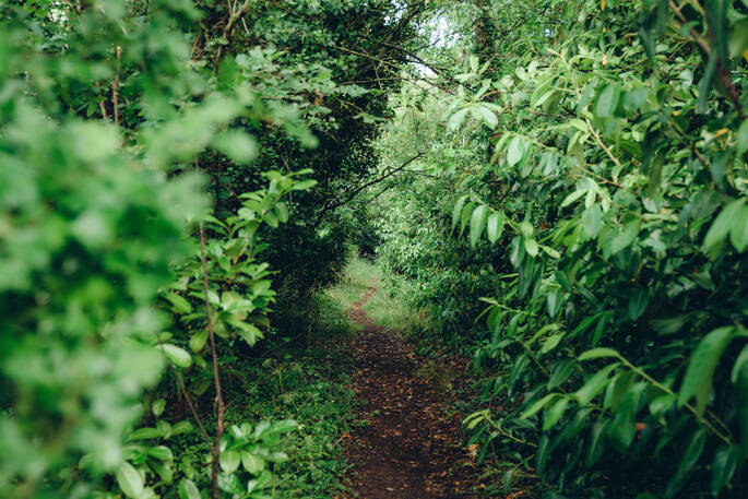 Surrounding area