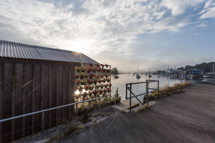 Barge Amelie moored along the quay in Penryn, Cornwall with light shining through the outdoor deck's vertical wall garden