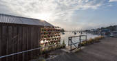 Barge Amelie moored along the quay in Penryn, Cornwall with light shining through the outdoor deck's vertical wall garden