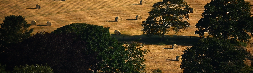 botelet estate image