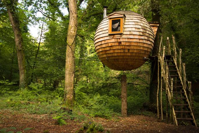 lost meadow treepod steps up to treehouse cornwall