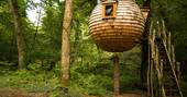 lost meadow treepod steps up to treehouse cornwall