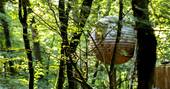 lost meadow treepod treehouse through the trees cornwall