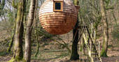 lost meadow treehouse cornwall treehouse