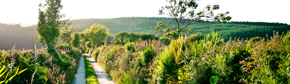 hustyn mine estate image