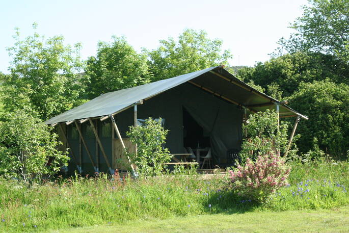 Mabbs, Safari Tent among the trees and flowers in St Just, Cornwall 