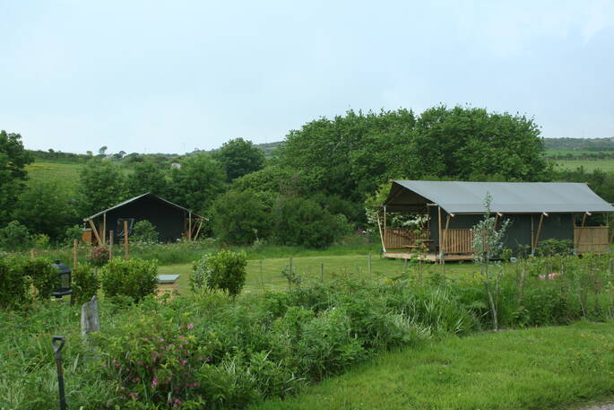 View of Mobbs and Mabbs and outside greenery area in Little Nook Glamping, Cornwall