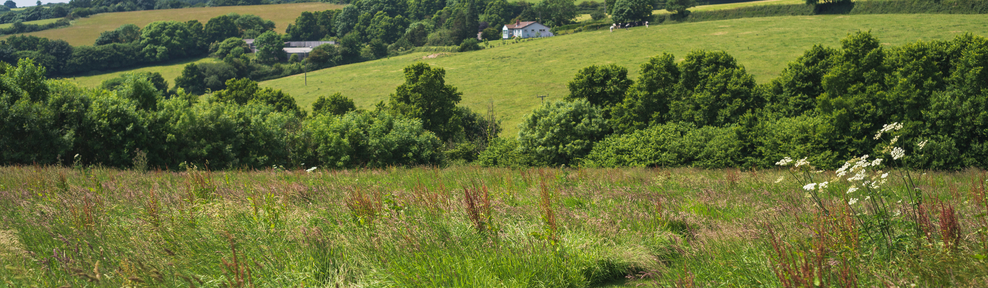 Lombard Farm, Cornwall