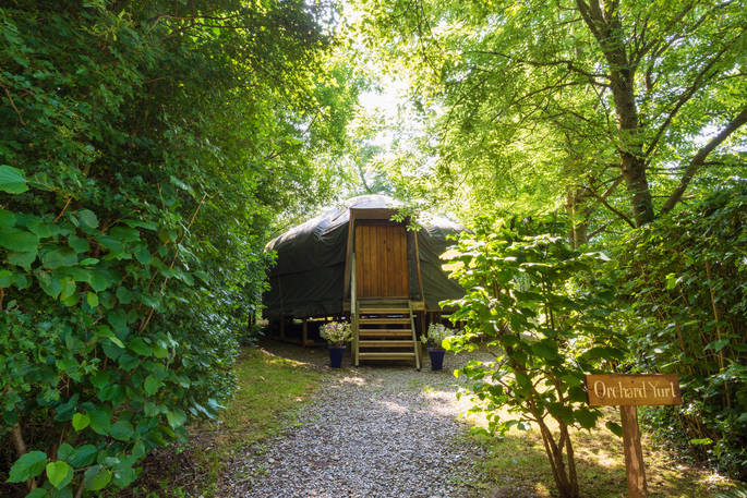 Exterior of Orchard Yurt nestled amongst the orchard
