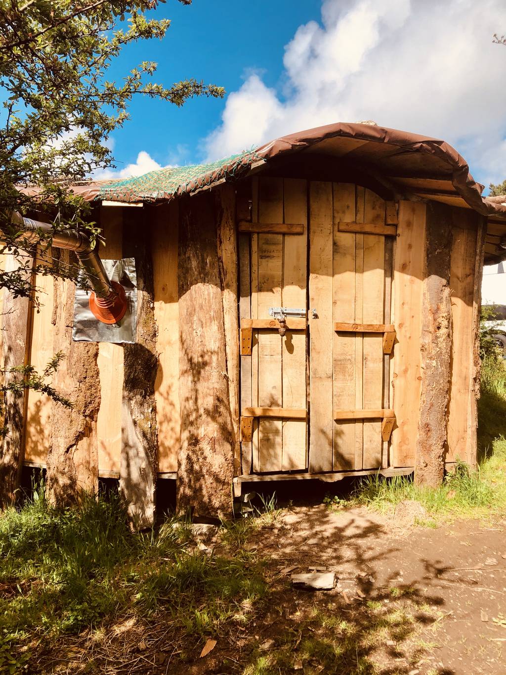 The Magic Mushroom | Cabin in Cornwall | Canopy & Stars