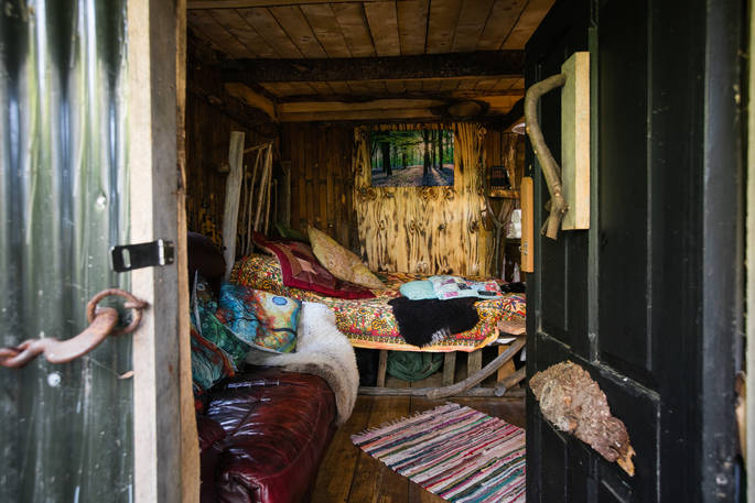 The Stumpy Hobbit interior with bed and living tree growing in the middle of the cosy cabin in Cornwall